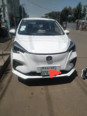 2023 Esatr Electric 60000 Km