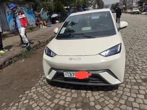 BYD Electric Hatchback 2024