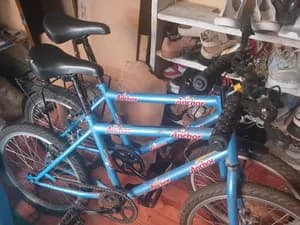 Two Bicycles for Sale