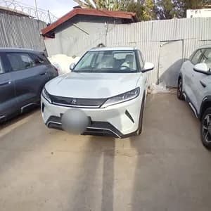 BYD Yuan Up 2024