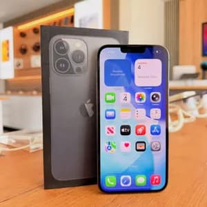 iPhone 13 Pro Max 256GB