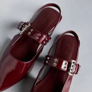 Max pointy toe buckle sling back flat