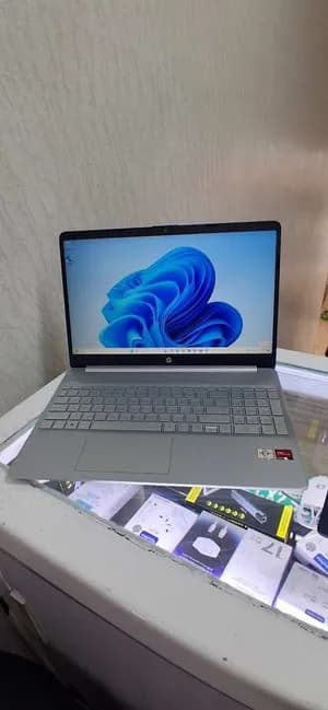 Brand New HP AMD Athlon Silver