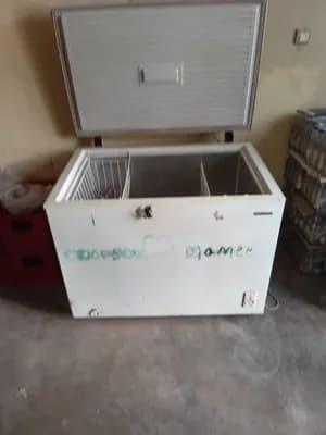 300 Liter Chest Freezer Fridge