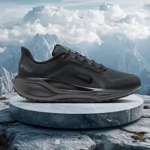Nike Air Gortex men's shoes USA