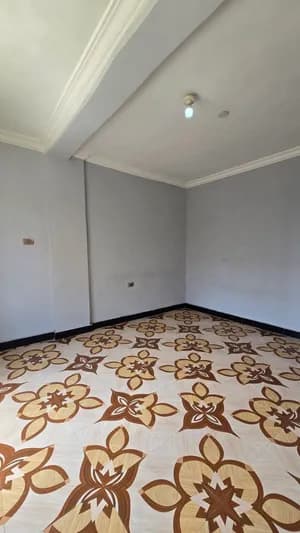 2 Bedroom Condo in Bole Arabsa