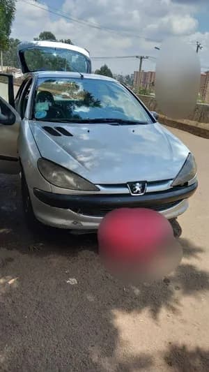 Peugeot 206 2001 Manual