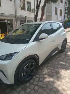BYD Seagull 2024
