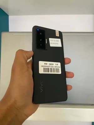 Vivo X70 12GB 256GB