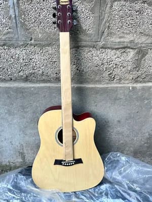 Semi Acoustic Electric Guitar