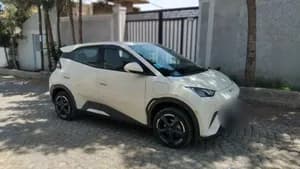 BYD Seagull 2024