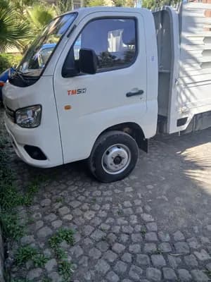 2024 TM50 Mini Cargo Truck