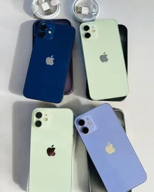 iPhone 12 with Charger
