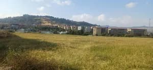 Yeka Abado Lease Land Plots