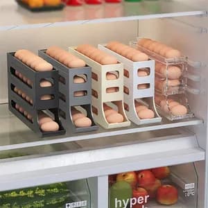 Egg Storage and Organizer