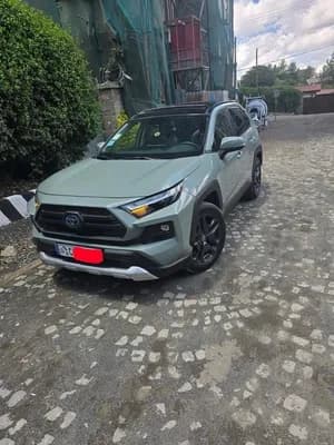 Toyota RAV4 Hybrid 2022 SUV