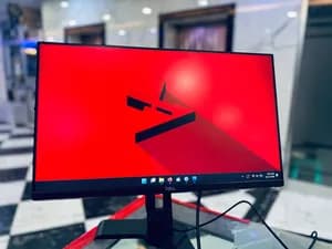 Dell 24 Inch Monitor