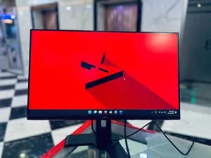 Dell 24 Inch Monitor