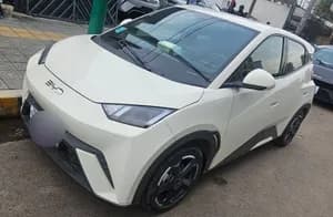 BYD Seagull Premium Electric 2024