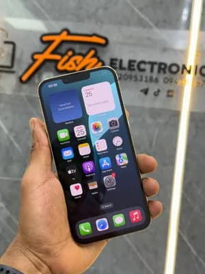 iPhone 13 Pro Max 256GB
