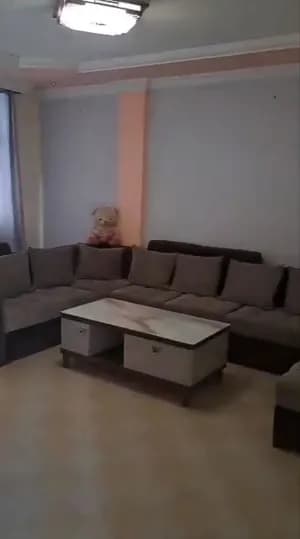 2 Bedroom Condo in Bole Arabsa