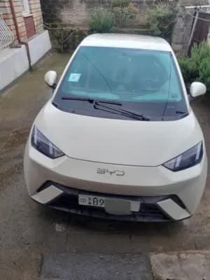 BYD Segull 2024 Electric