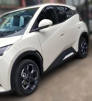 BYD Seagull Premium Electric 2025