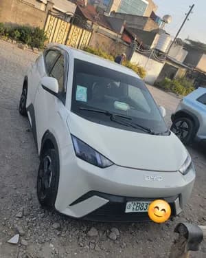 BYD Seagull Electric 2024