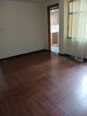 20/80 Condo 56sqm Bole Arabsa