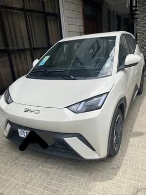 BYD Seagull 2024 Electric SUV