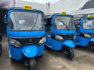 BNS 2025 Electric Three-Wheeler 7 Seater