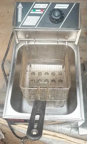 Electric Deep Fryer