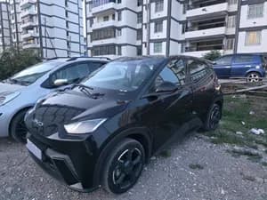 BYD Seagull 2024 Automatic Electric