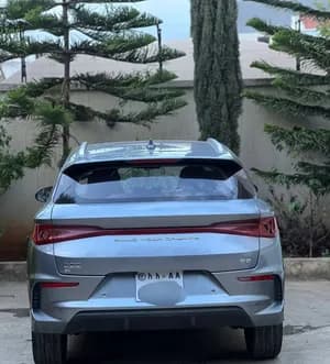 BYD e2