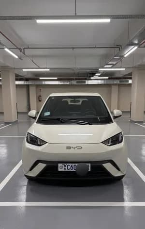 BYD Seagull 2024