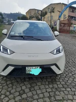 BYD Seagull 2024 Electric