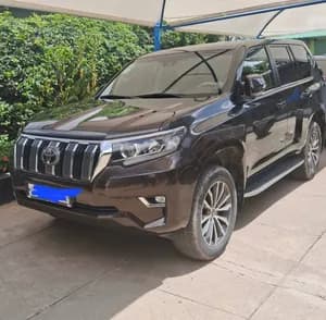 Toyota Land Cruiser Prado 2019
