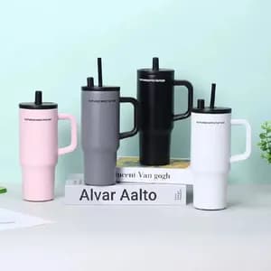 Double Layer Stainless Travel Tumbler with Straw