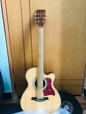 Lucky Star Semi Acoustic Guitar
