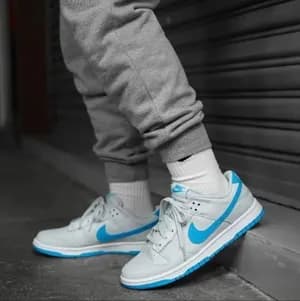 Nike Dunk Low SB Pure Platinum