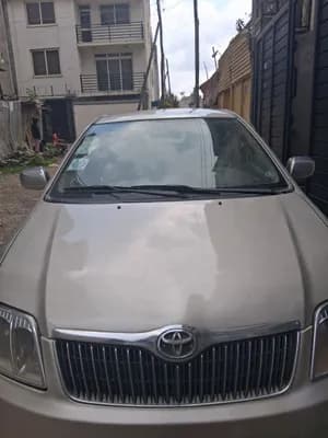 Toyota Corolla 2006 1.3 L Automatic