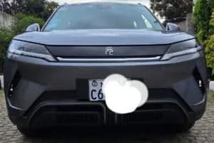 BYD Yuan Up Electric 2024