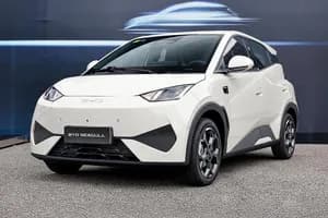 BYD Seagull