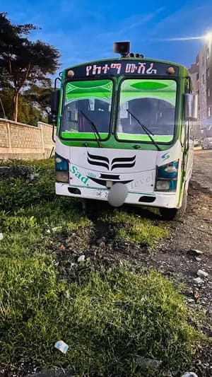 2007 Model Minibus Factory Paint