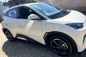 BYD Seagull 2024