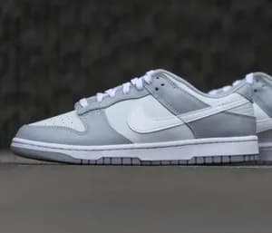 Nike Dunk Low SB Two Tone Grey