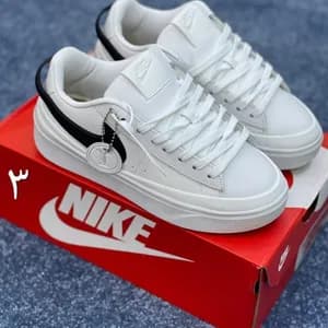 Nike SB Blazer Dunk