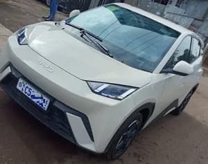 BYD Seagull 2024
