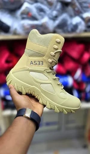A533 AS33