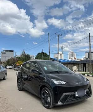 BYD Seagull 2024 Electric